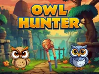 Owl Hunter image